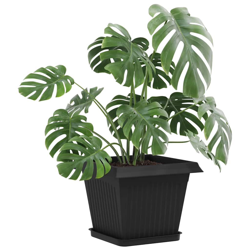 Vassoio Quadrato per Fiori 6 pcs Nero 21 x 21 x 2 cm Plastica | homemem39