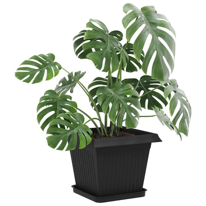 Vassoio Quadrato per Fiori 6 pcs Nero 25,5 x 25,5 x 2,5 cm | homemem39