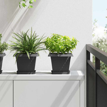 Vassoio Quadrato per Fiori 24 pcs Nero 15 x 15 x 2 cm Plastica | homemem39