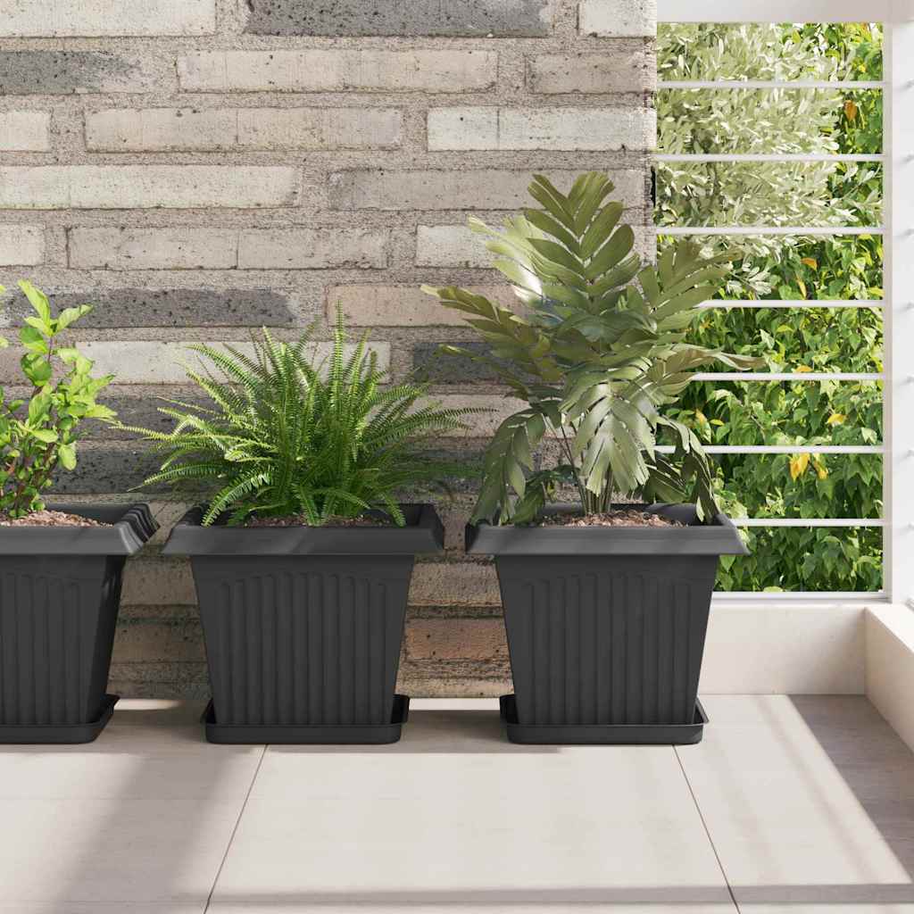 Vassoio Quadrato per Fiori 24 pcs Nero 21 x 21 x 2 cm Plastica