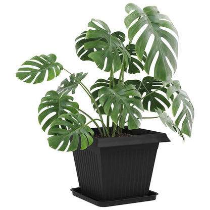 Vassoio Quadrato per Fiori 24 pcs Nero 32 x 32 x 2,5 cm | homemem39