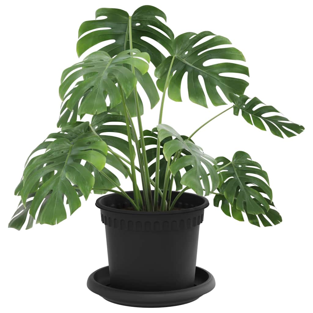 Vasi per Piante 24 pcs Nero Ø 12,5 x 10 cm Plastica | homemem39