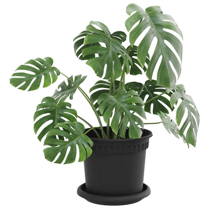 Vasi per Piante 24 pcs Nero Ø 15 x 12 cm Plastica | homemem39