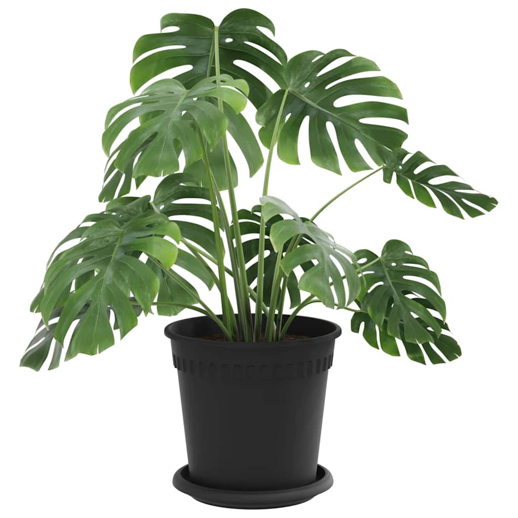 Vasi per Piante 24 pcs Nero Ø 17 x 14 cm Plastica | homemem39