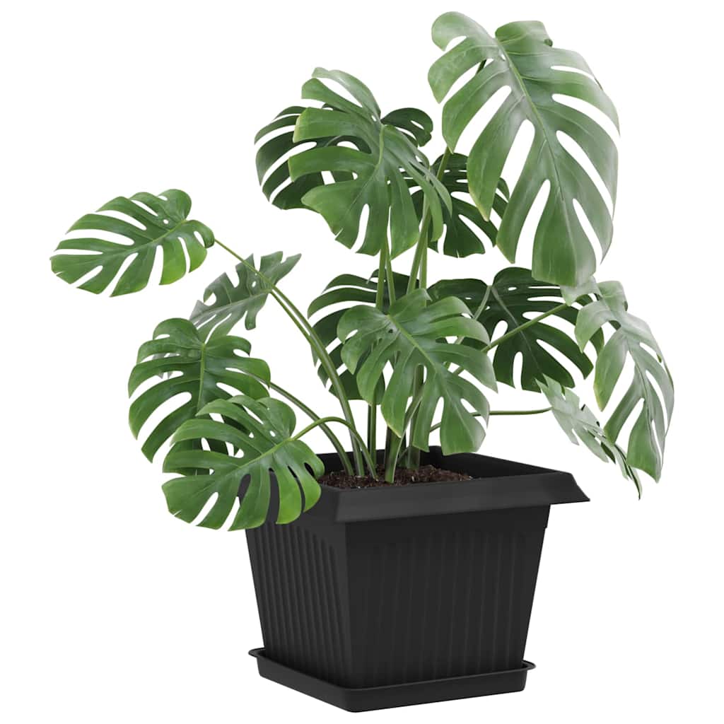 Vasi per Piante 6 pcs Nero 23 x 23 x 17,5 cm Plastica | homemem39
