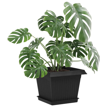 Vasi per Piante 6 pcs Nero 23 x 23 x 17,5 cm Plastica | homemem39