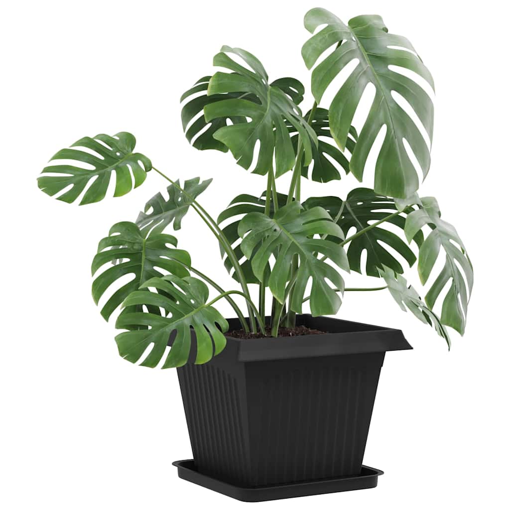 Vasi per Piante 6 pcs Nero 43 x 43 x 33,5 cm Plastica | homemem39