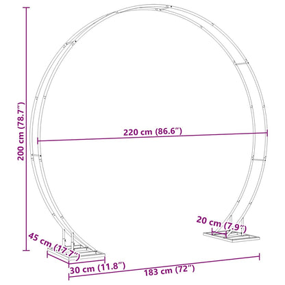 Arco Nuziale Oro 220 x 45 x 200 cm Acciaio | homemem39