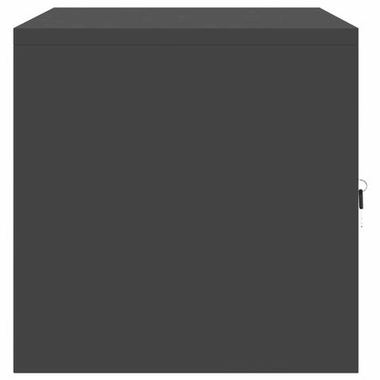 Armadio Nero 80 x 40 x 40 cm Acciaio