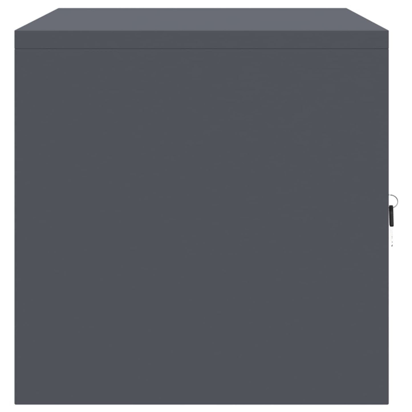 Armadio Antracite 80 x 40 x 40 cm Acciaio | homemem39