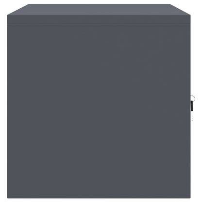 Armadio Antracite 80 x 40 x 40 cm Acciaio | homemem39