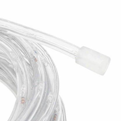 Luce a corda con 2400 LED Bianco caldo 100 m PVC | homemem39