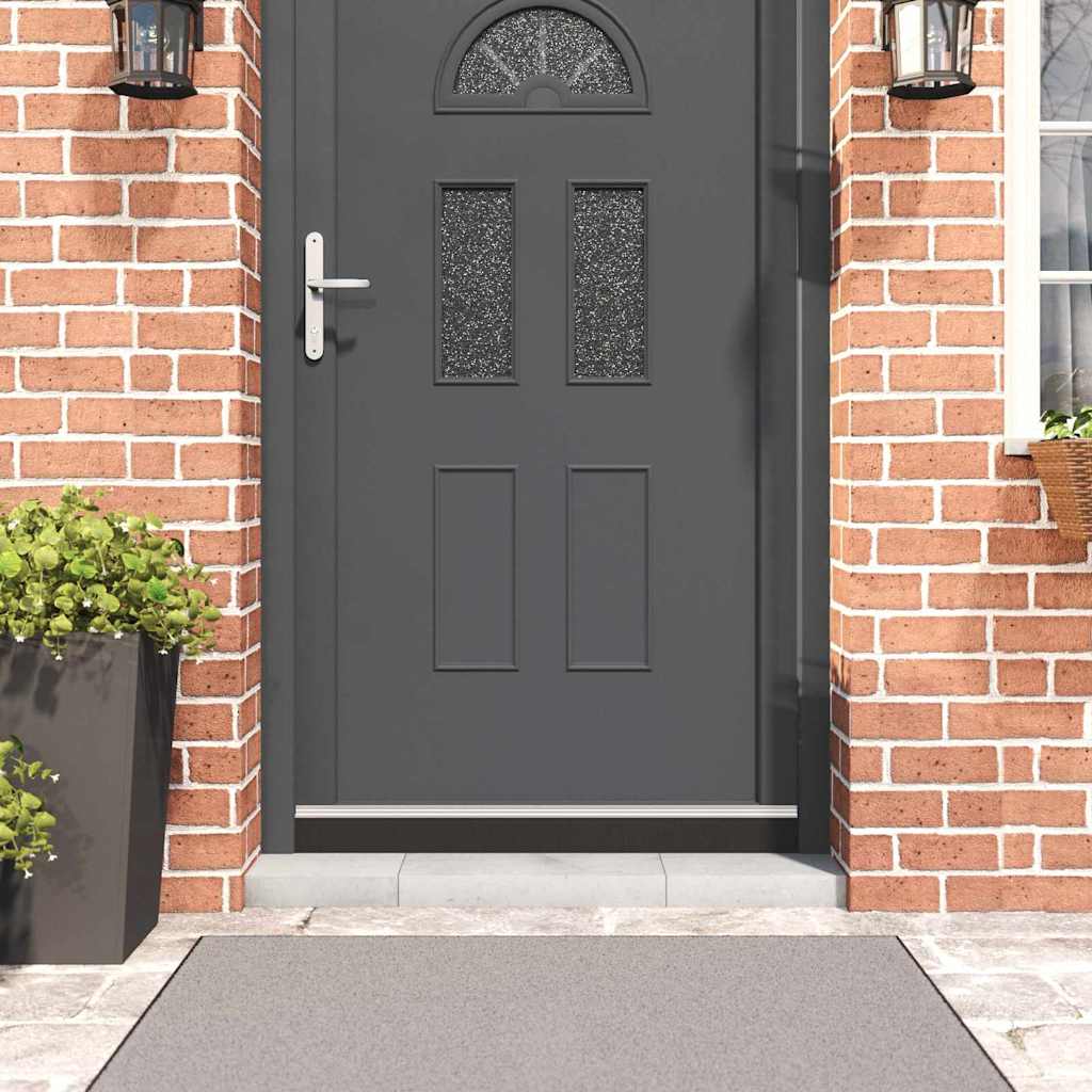 Spazzole per porte autoadesive 6 pcs Argento 100 cm | homemem39