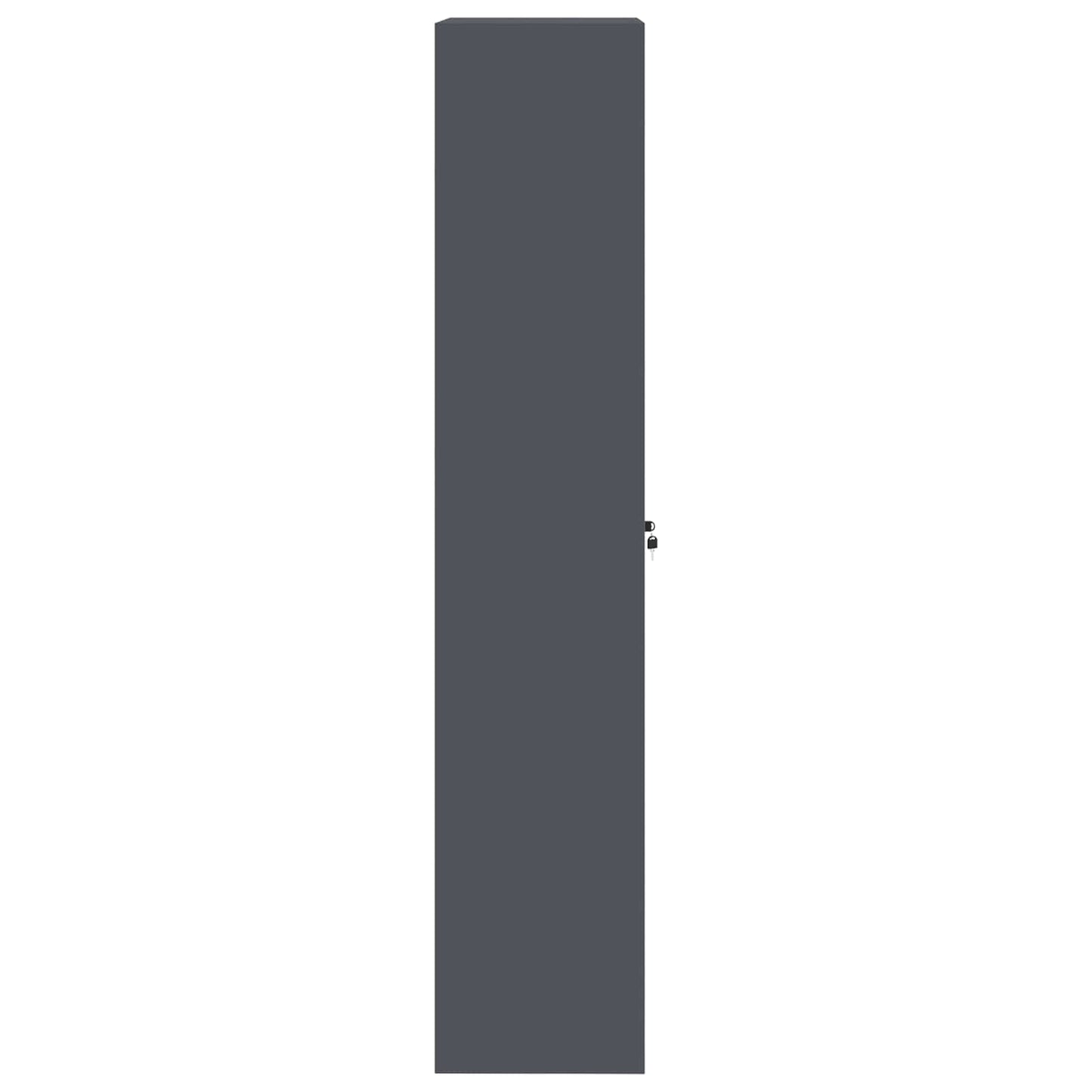 Armadio con archiviazione 2 pcs Antracite 60 x 40 x 200 cm