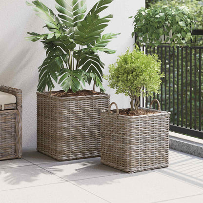 Cestino per Piante con archiviazione 2 pcs Grigio Rattan Lacak | homemem39