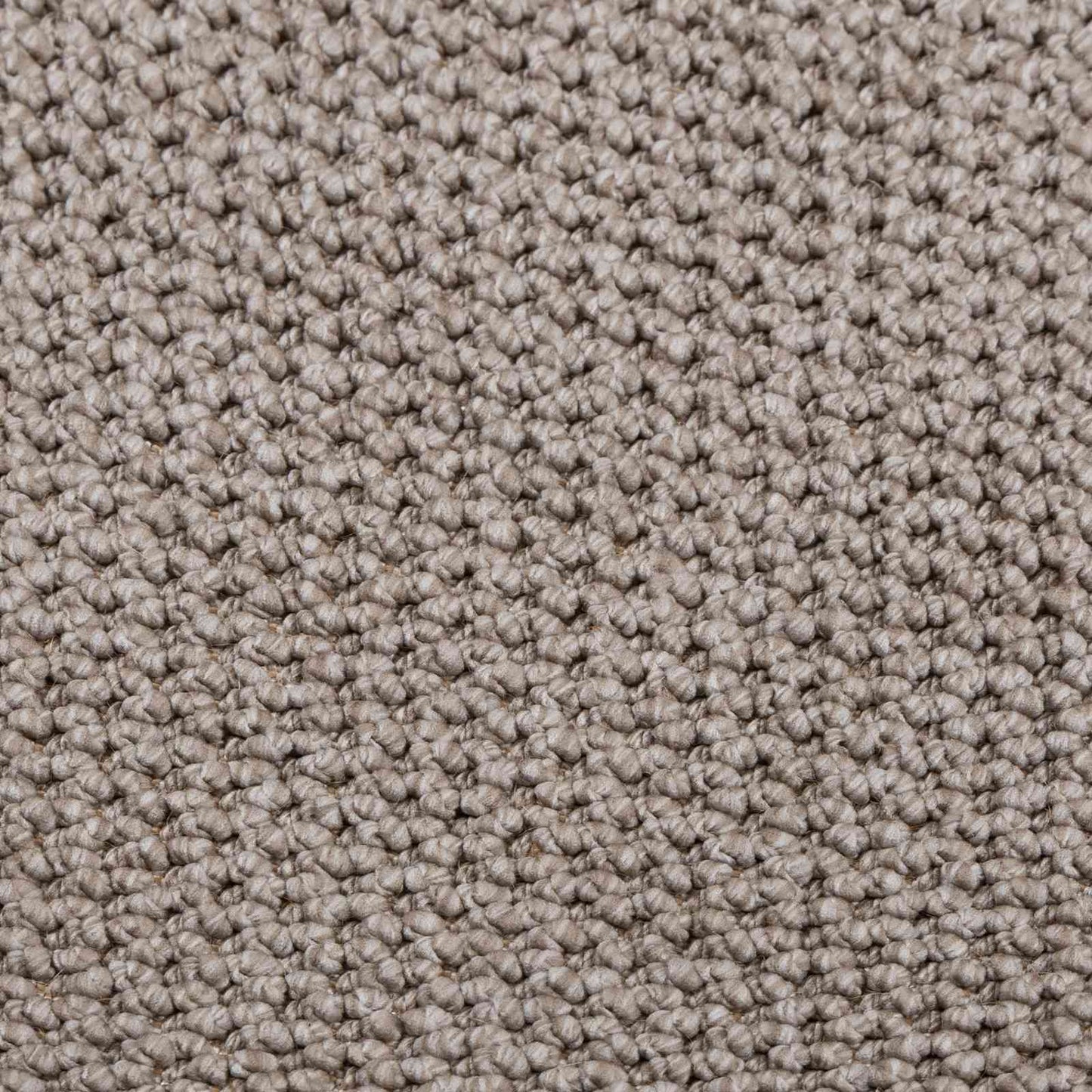 Tappeti per area Rettangolare LUGO Talpa 240 x 340 cm | homemem39
