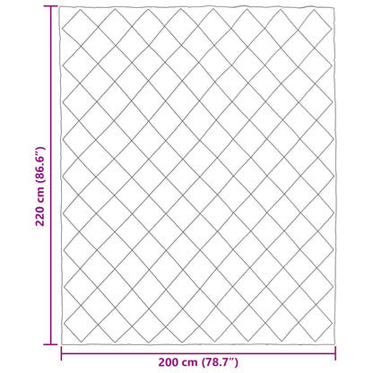 Piumone Completo Annuale Verde 220 x 200 cm Microfibra
