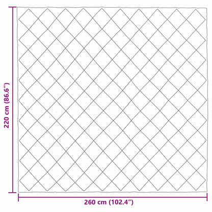 Piumone Completo Annuale Grigio chiaro 220 x 260 cm Microfibra