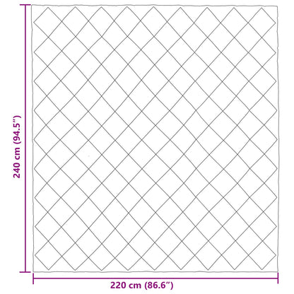 Duvet Invernale Grigio chiaro 220 x 240 cm Microfibra