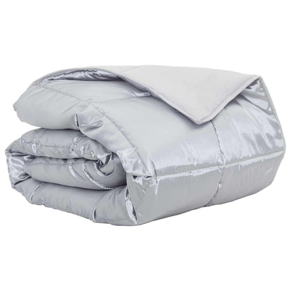 Duvet Estivo Argento 240 x 260 cm Satin e Micropile