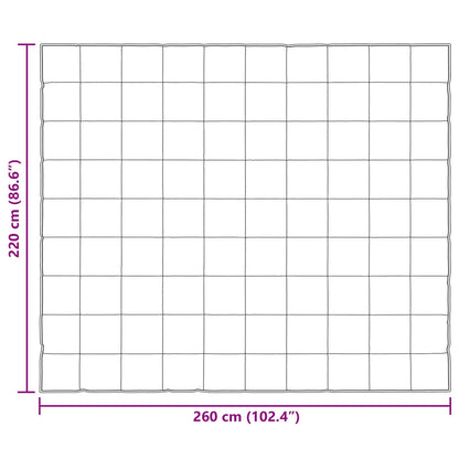 Piumone Completo Annuale Nero 220 x 260 cm Satin e Micropile