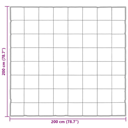 Piumone Completo Annuale Argento 200 x 200 cm Satin e Micropile