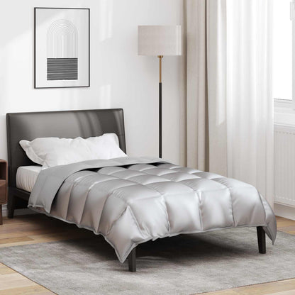 Duvet Invernale 140 x 200 cm 450 gsm Argento