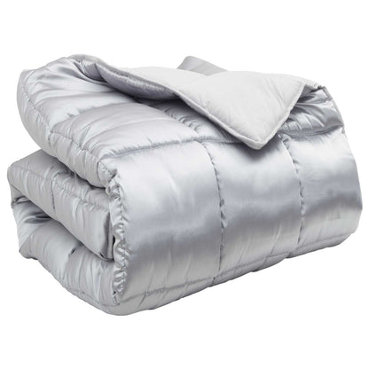 Duvet Invernale 200 x 240 cm 450 gsm Argento