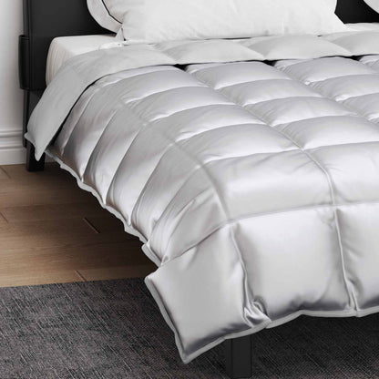 Duvet Invernale Argento 220 x 240 cm Satin e Micropile