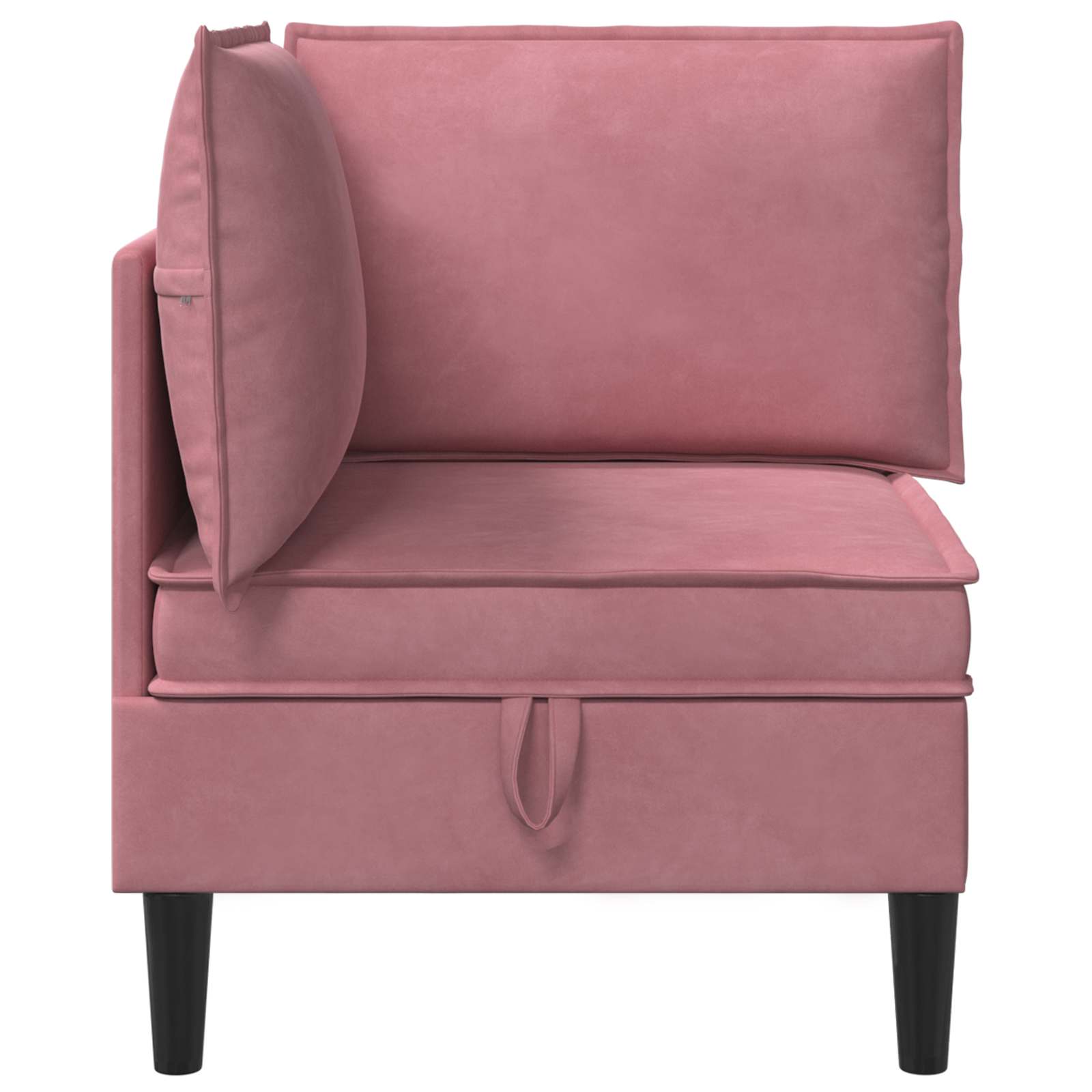 Divano con Stoccaggio Rosa Velluto | homemem39