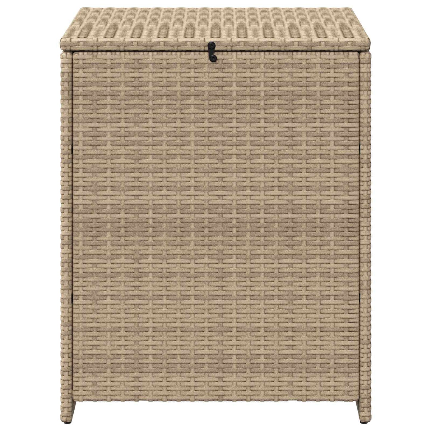 Scatola per Cuscini 55 x 55 x 69 cm acciaio | homemem39
