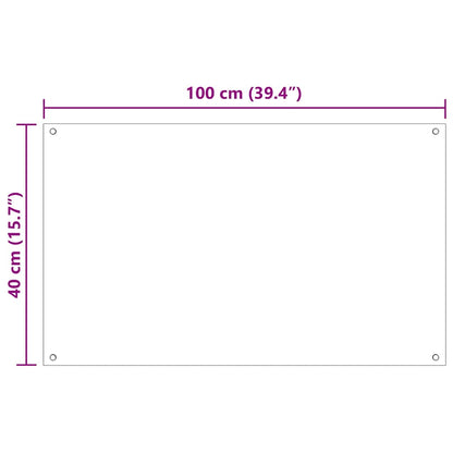 Rivestimento da Cucina 2 pcs Trasparente 100 x 40 cm