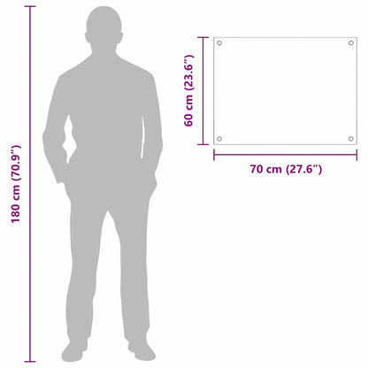 Rivestimento da Cucina Trasparente 70 x 60 cm vetro temperato