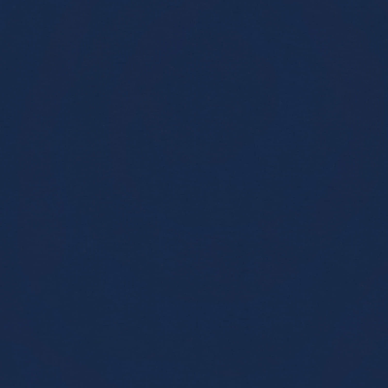 Duvet Estivo Trapuntato Blu Scuro 220 x 240 cm Microfibra | homemem39