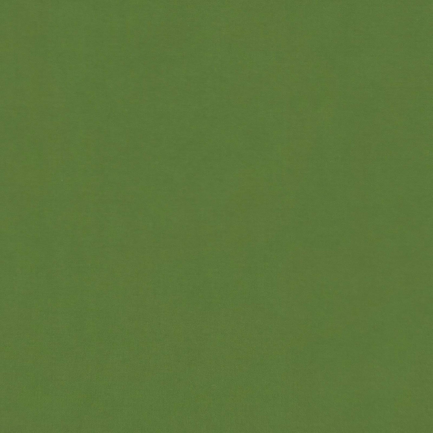 Duvet Invernale 220 x 240 cm Inverno Verde Traspirante