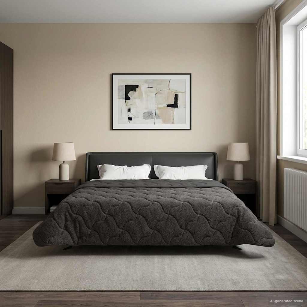 Duvet Invernale 200 x 200 cm Inverno Antracite Traspirante