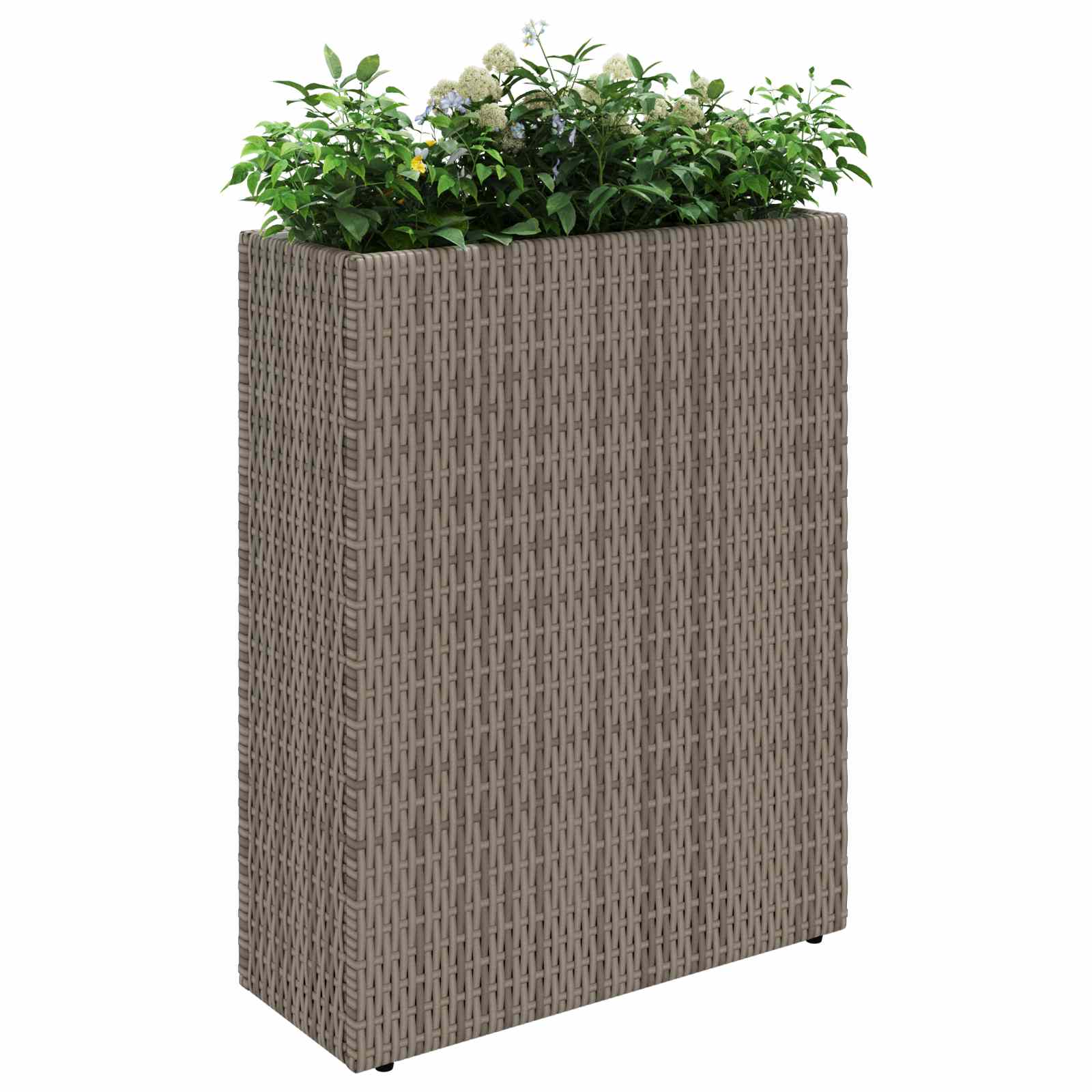 Vasetto alto 55 x 22 x 70 cm Sì | homemem39