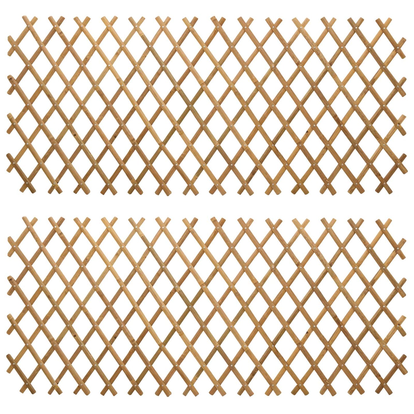 Recinto Trellis Espandibile 2 pcs Marrone Chiaro 100 x 105 cm | homemem39
