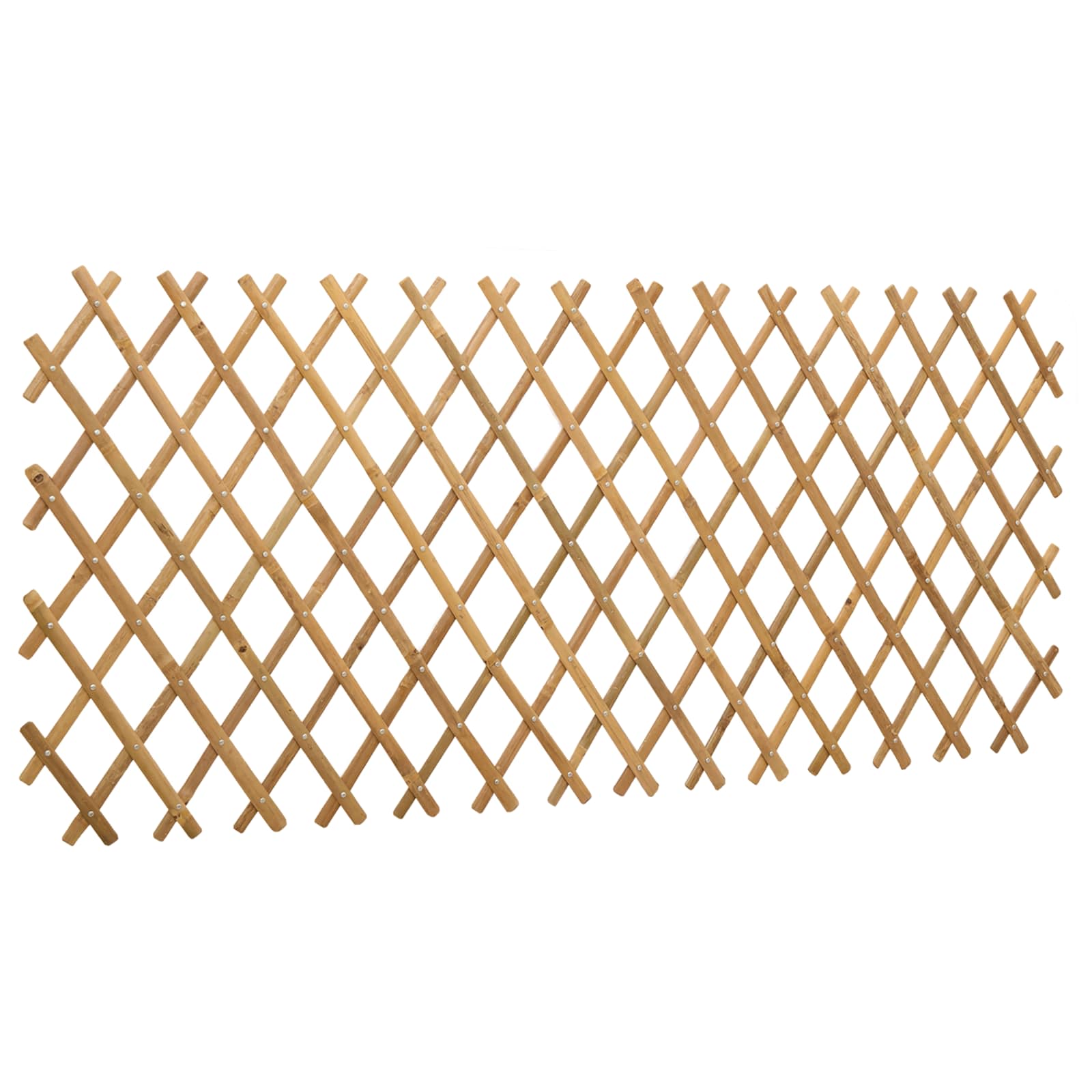 Recinto Trellis Espandibile 2 pcs Marrone Chiaro 100 x 105 cm | homemem39