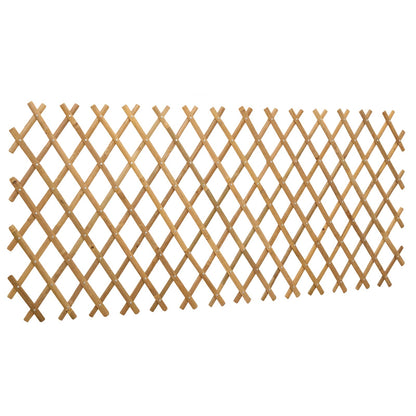 Recinto Trellis Espandibile 2 pcs Marrone Chiaro 100 x 105 cm | homemem39