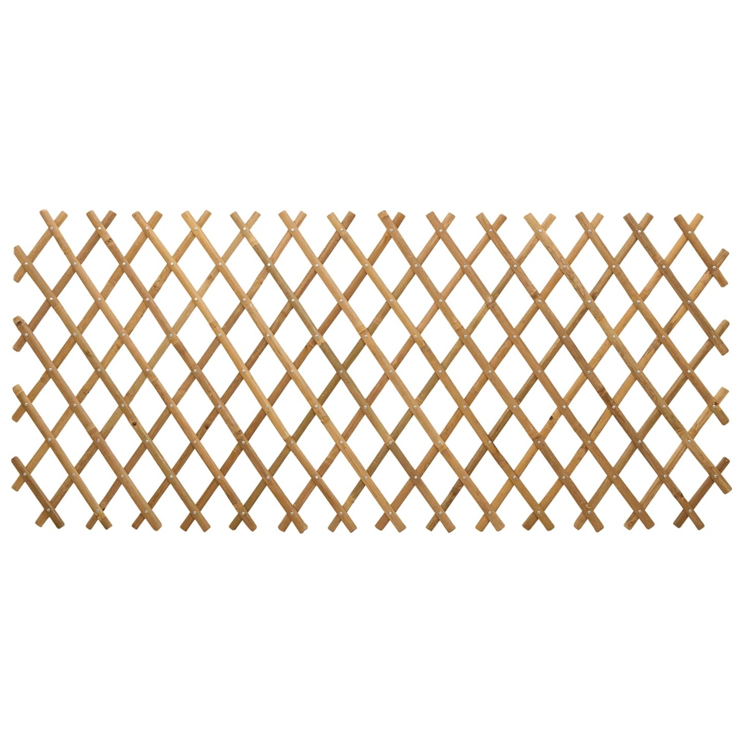 Recinto Trellis Espandibile 2 pcs Marrone Chiaro 100 x 105 cm | homemem39