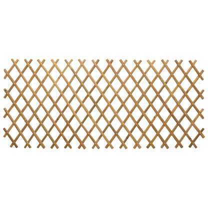 Recinto Trellis Espandibile 2 pcs Marrone Chiaro 100 x 105 cm | homemem39