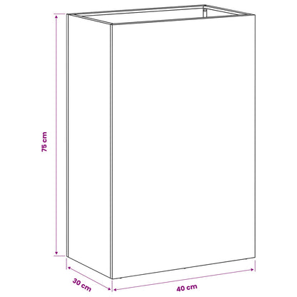 Vaso da giardino 2 pz Antracite 40 x 30 x 75 cm | homemem39