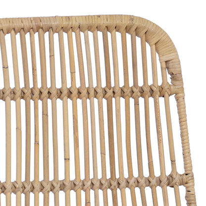 Sedia da pranzo 2 pz Rattan e acciaio Naturale 41 x 55 x 85 cm