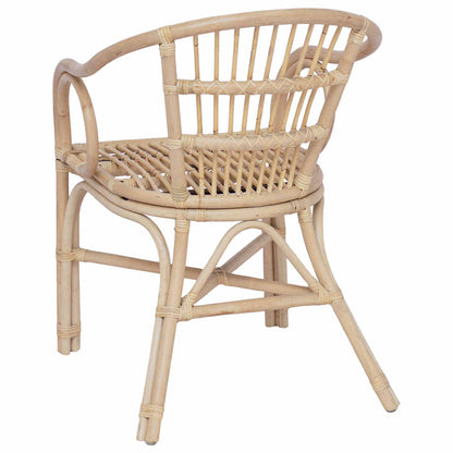 Sedia Impilabile Naturale 58 x 60 x 81 cm Rattan | homemem39