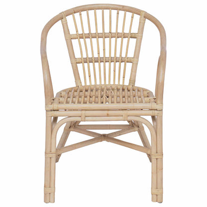 Sedia Impilabile Naturale 58 x 60 x 81 cm Rattan | homemem39