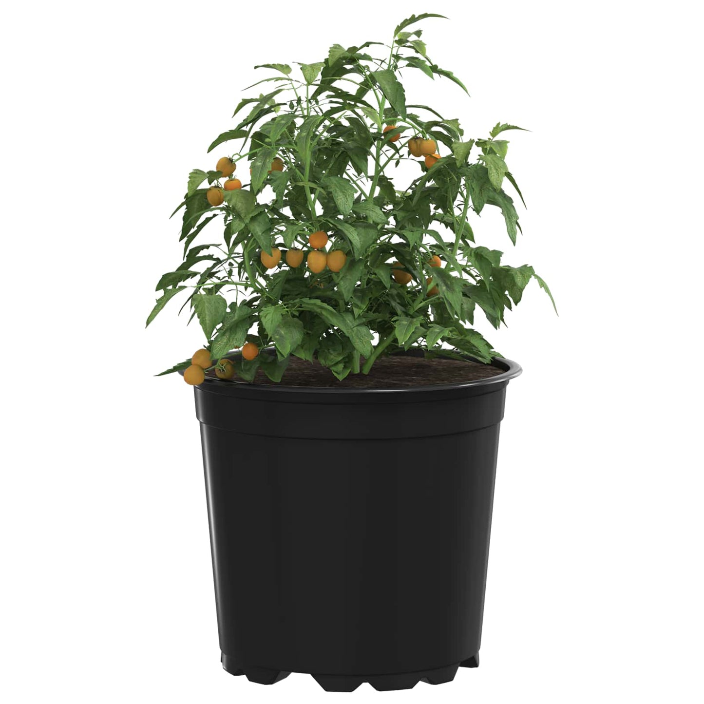Vaso per Fiori 50 pcs Nero Ø 15 x 12.5 cm Plastica