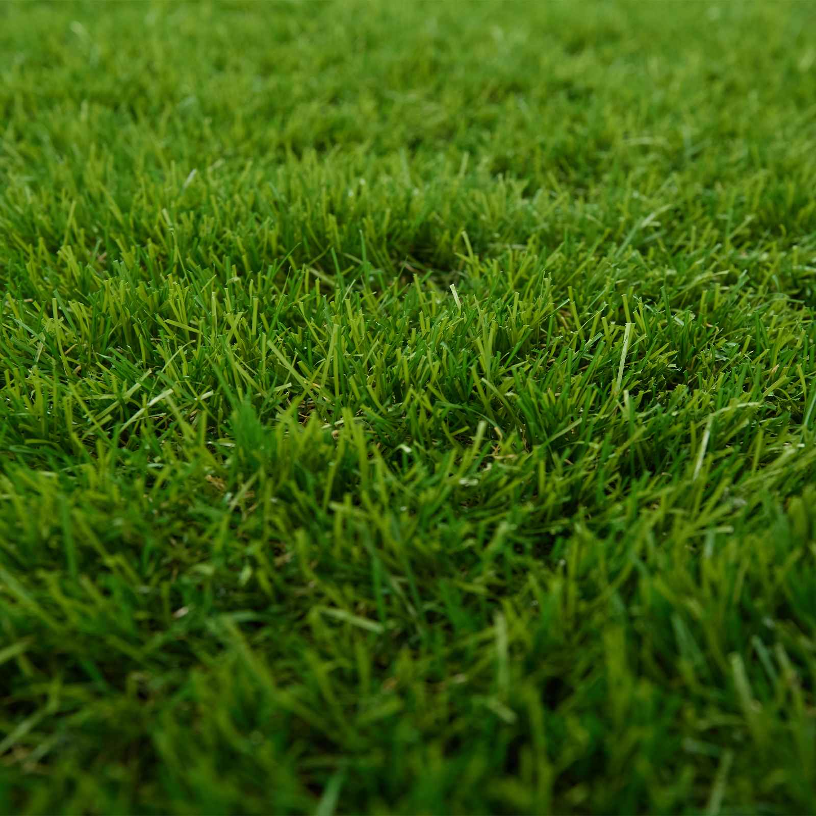 Erba artificiale PP e PE | homemem39