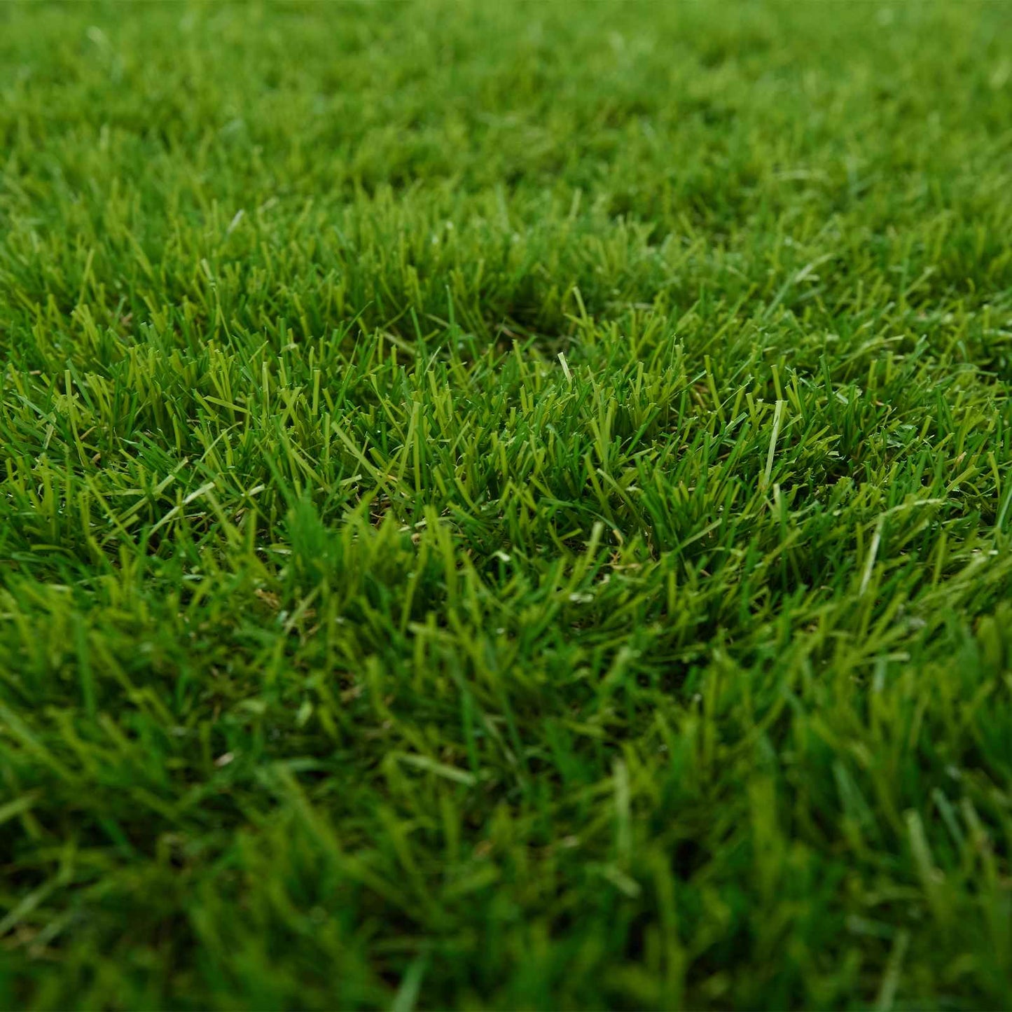 Erba artificiale Verde 1 x 8 m, 50 mm PP e PE | homemem39