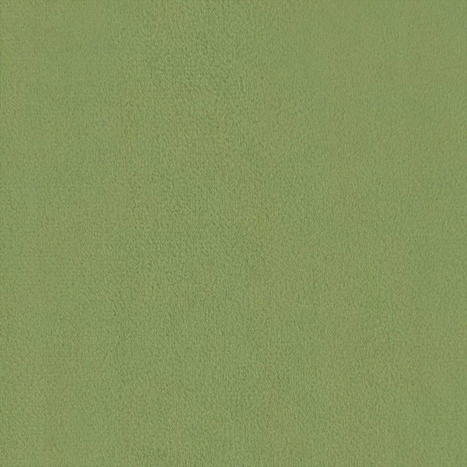 Set di divani 2 pz Verde chiaro Velluto | homemem39